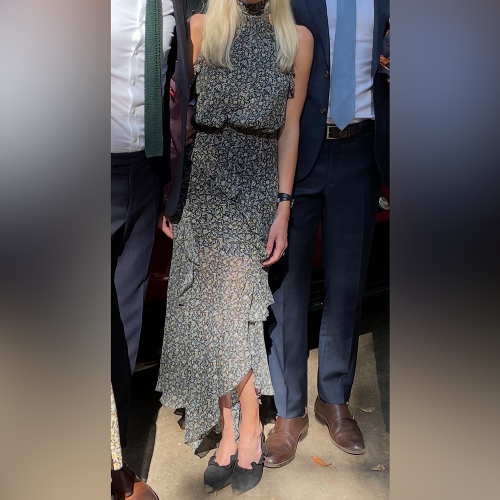 Veronica beard sheer dress high neck
